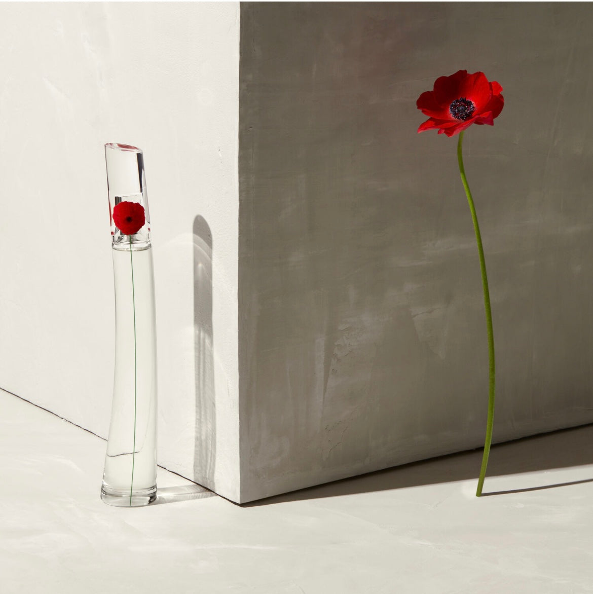 FLOWER BY KENZO - Eau de Parfum