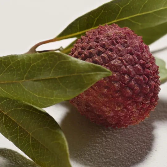 Chloe CHLOÉ SIGNATURE EAU DE PARFUM 100ml