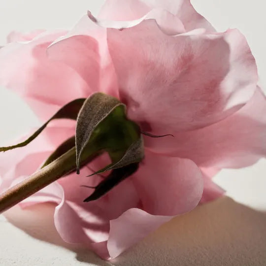 Chloe CHLOÉ SIGNATURE EAU DE PARFUM 100ml