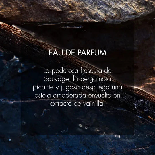 Dior SAUVAGE Eau de Parfum 100ml